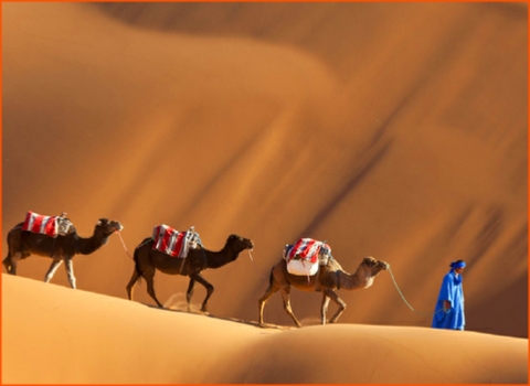 private tour from Fes to Merzouga desert,guided camel ride in Morocco private tour from Fes to Merzouga desert,guided camel ride in Morocco