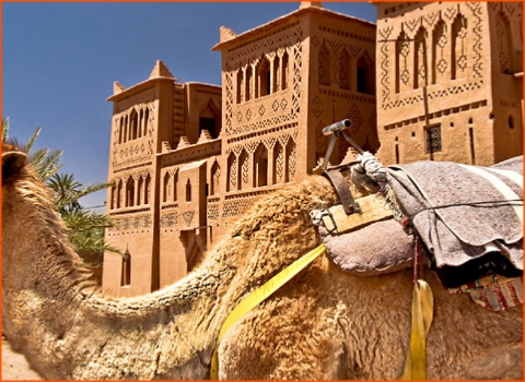 private tour from Marrakech in Morocco to desert in Merzouga private tour from Marrakech in Morocco to desert in Merzouga