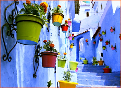 private tour from Casablanca in Morocco, Imperial cities tour private tour from Casablanca in Morocco, Imperial cities tour