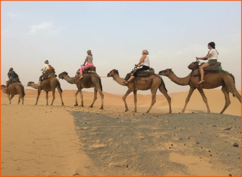 private tour from Casablanca in Morocco, Imperial cities tour private tour from Casablanca in Morocco, Imperial cities tour