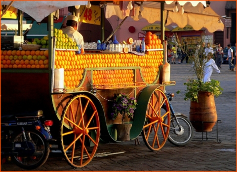 Private Tours from Agadir,guided Sahara tours from Agadir Private Tours from Agadir,guided Sahara tours from Agadir