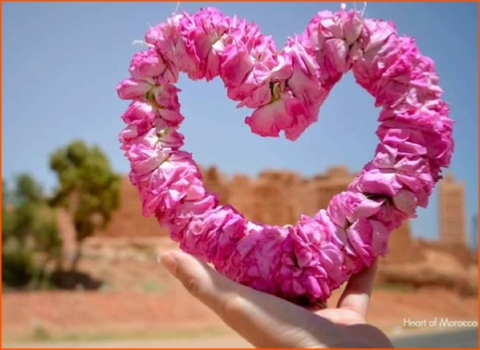 private tour from Casablanca in Morocco, Imperial cities tour private tour from Casablanca in Morocco, Imperial cities tour