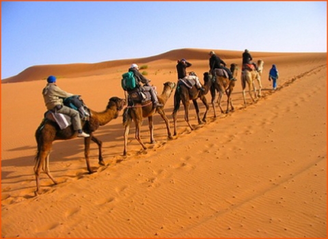 private tour from Marrakech in Morocco to desert in Zagora private tour from Marrakech in Morocco to desert in Zagora