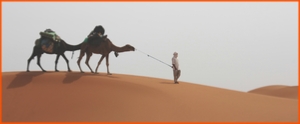 3 day desert tour from Fes to Marrakech,3 day private Fes desert 4x4 trip to Marrakech 3 day desert tour from Fes to Marrakech,3 day private Fes desert 4x4 trip to Marrakech